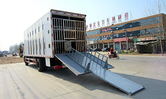 东风天锦运猪车畜禽运输车
