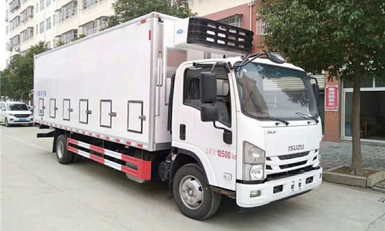 国六庆铃五十铃鸡苗运输车雏禽运输车